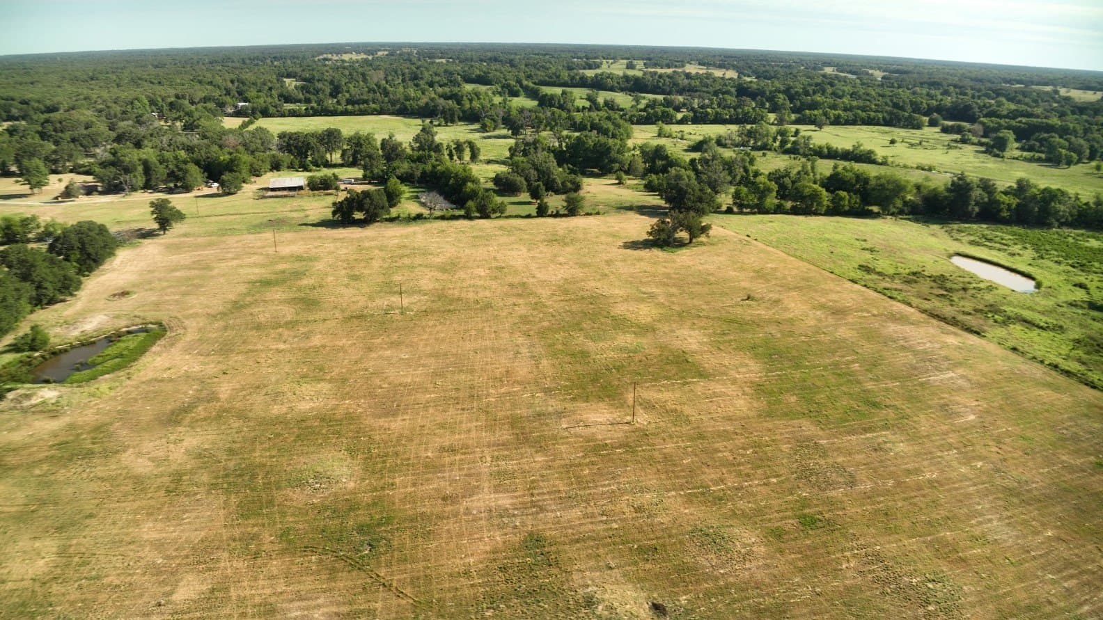 227 acres in Hopkins County - photo 8