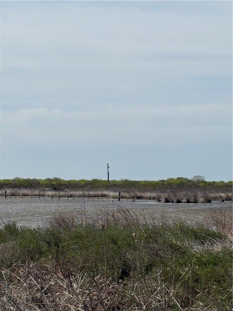 8.73 acres in Aransas County gallery image 3