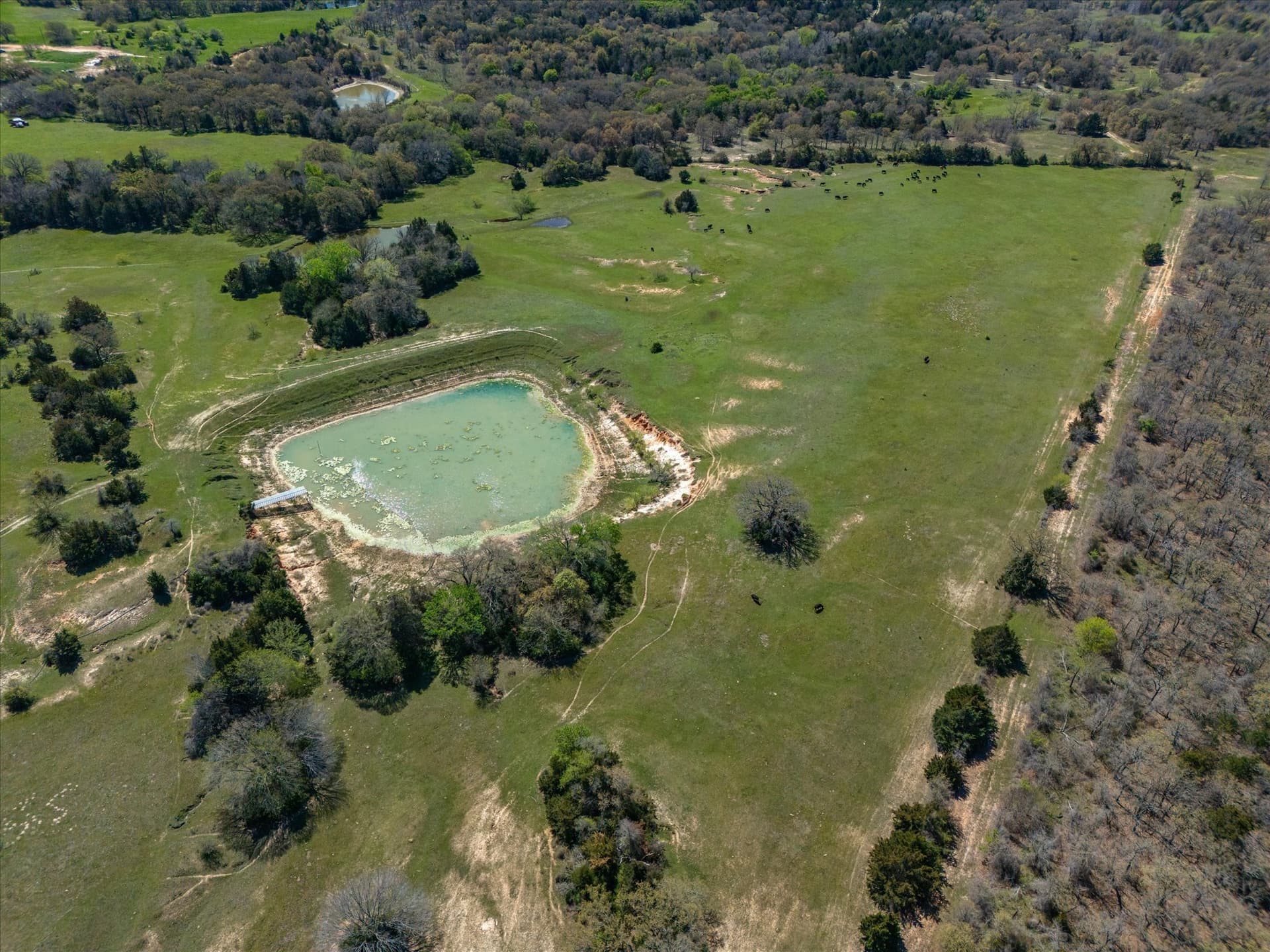 6.01 acres in Wise County - photo 17