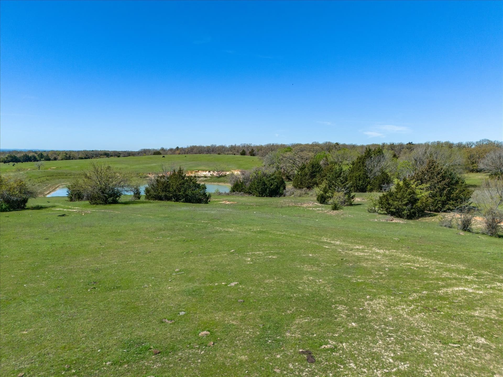 6.01 acres in Wise County - photo 20