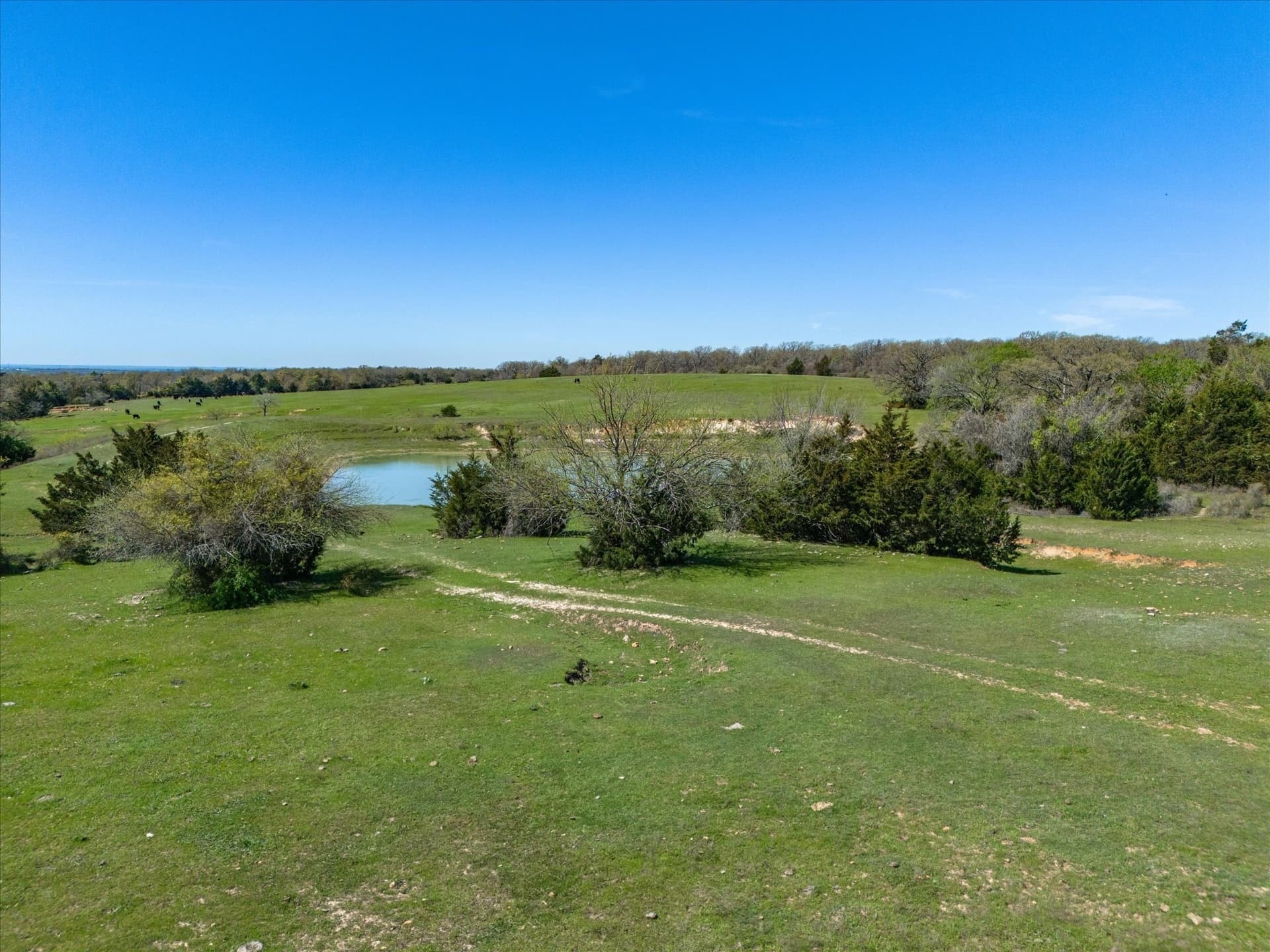 6.01 acres in Wise County - photo 21