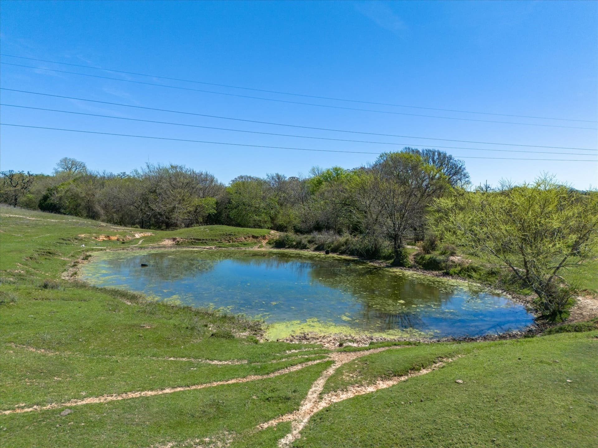 6.01 acres in Wise County - photo 9