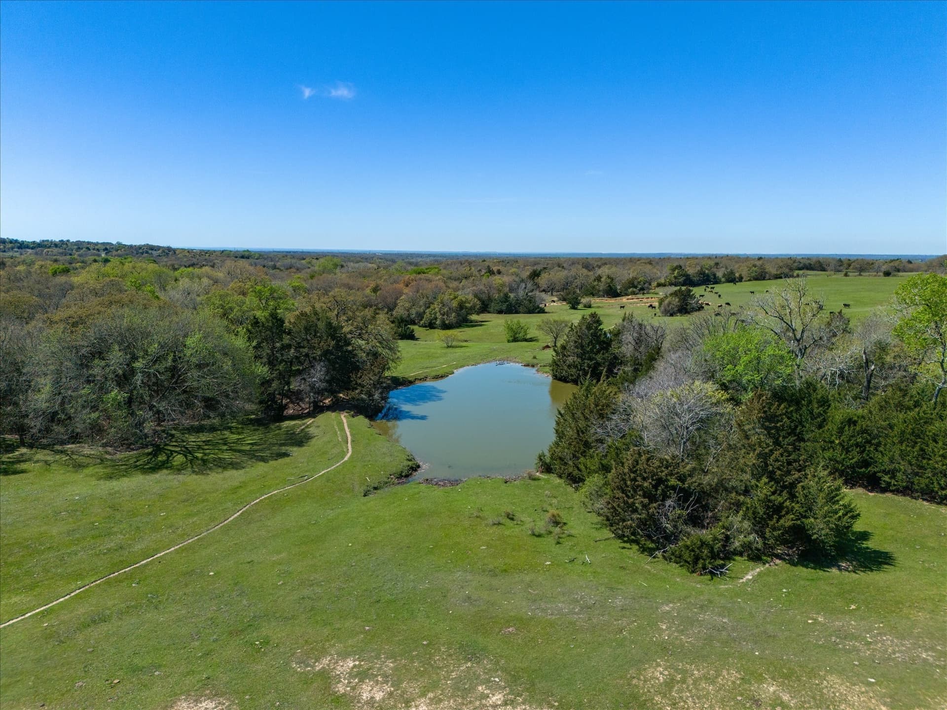 6.01 acres in Wise County - photo 6