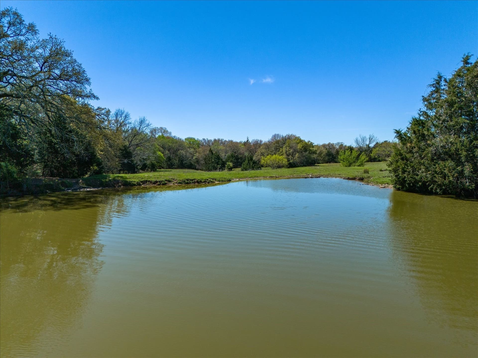 6.01 acres in Wise County - photo 8