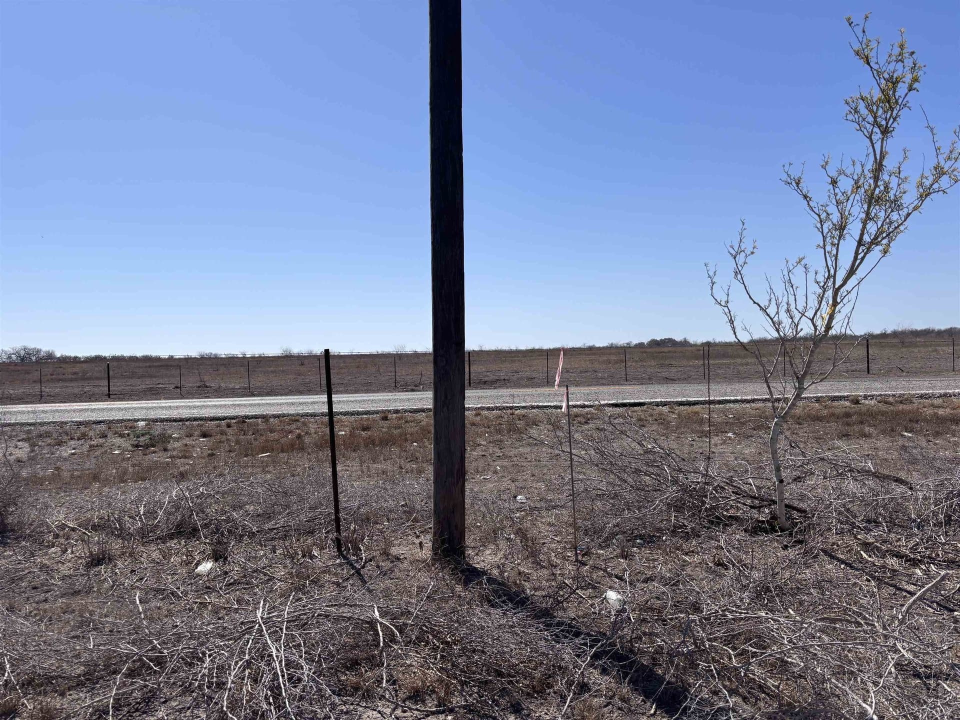 10.01 acres in Live Oak County - photo 4