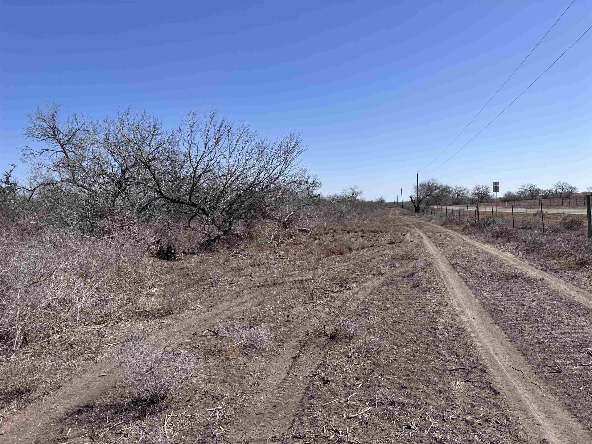 10.01 acres in Live Oak County - photo 2