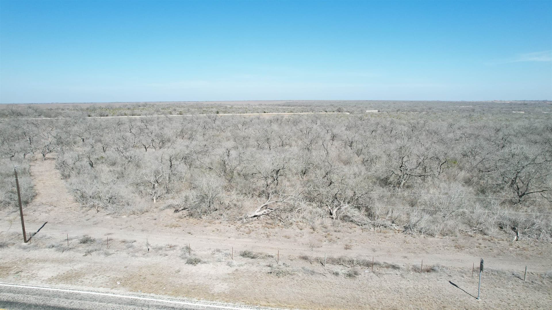 10.01 acres in Live Oak County - photo 13