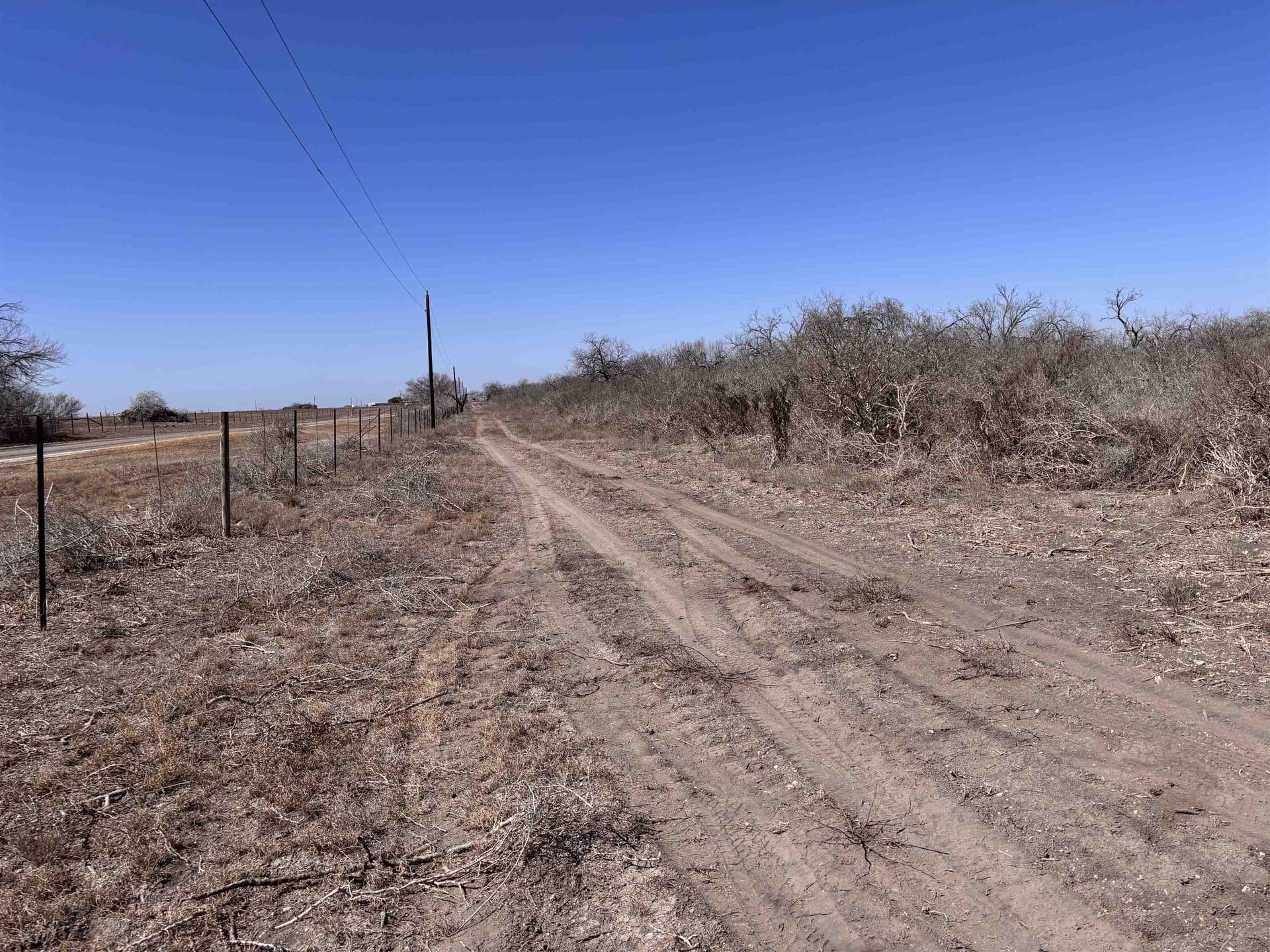 10.01 acres in Live Oak County - photo 19