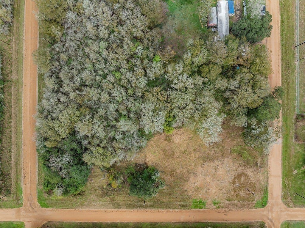 0.88 acres in Colorado County gallery image 2