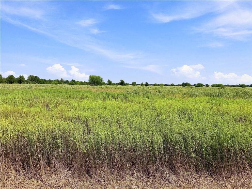 1.29 acres in Brazos County - photo 4