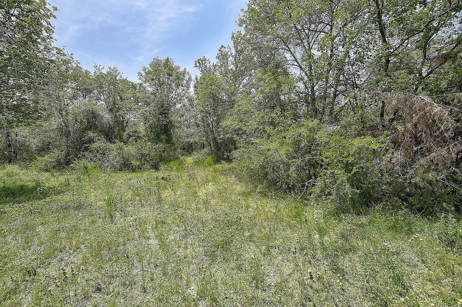 4.71 acres in Wise County - photo 17
