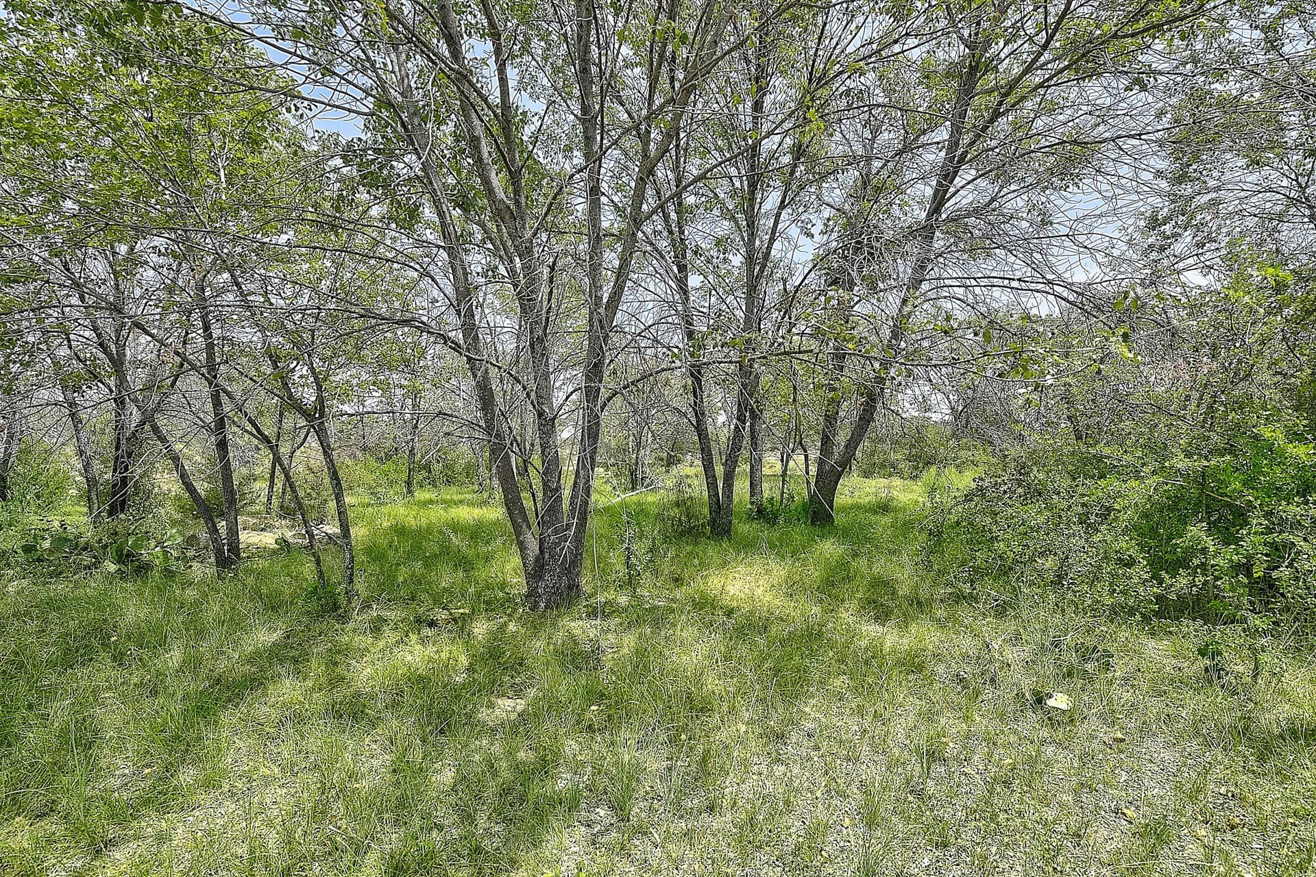 4.71 acres in Wise County - photo 15