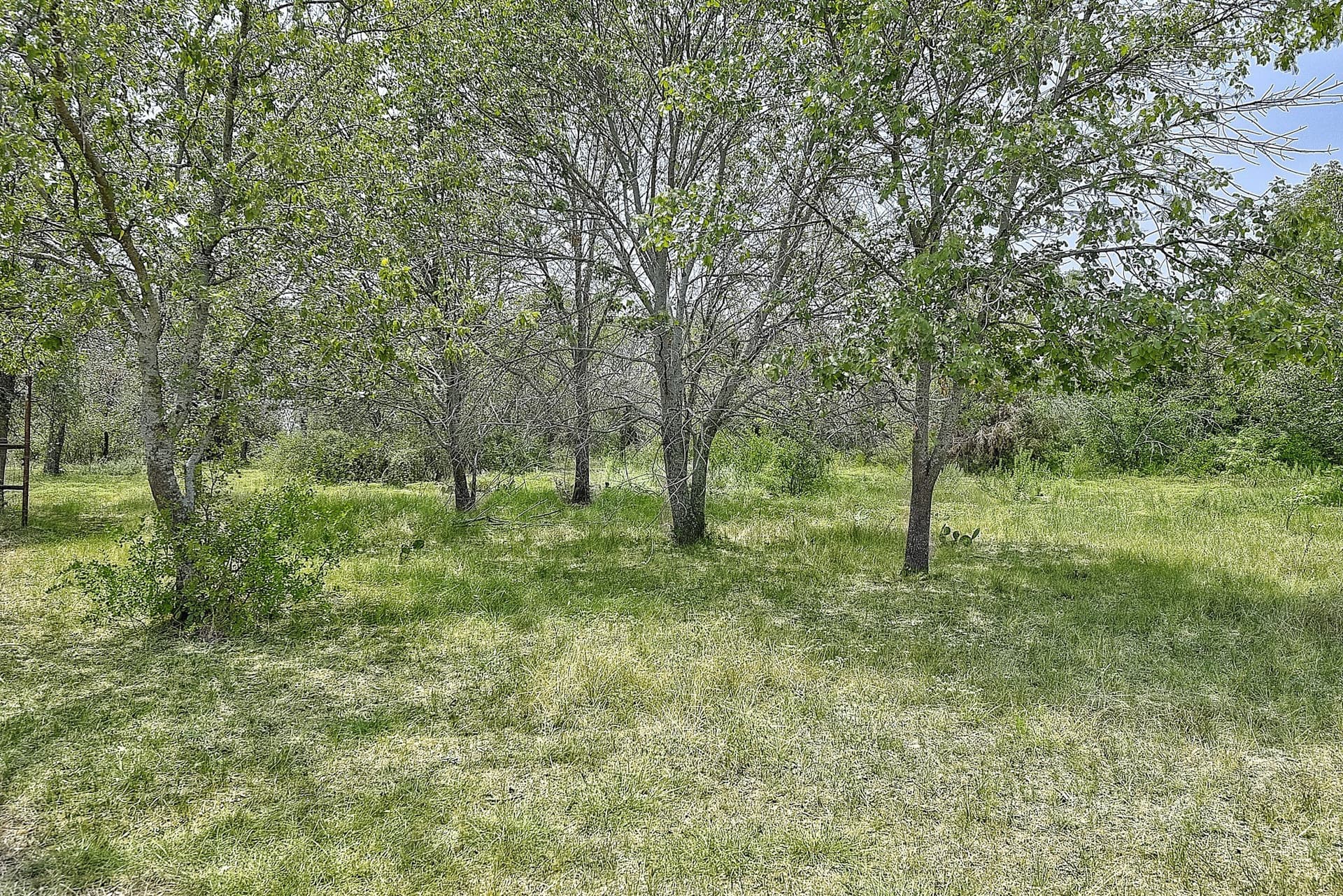 4.71 acres in Wise County - photo 9