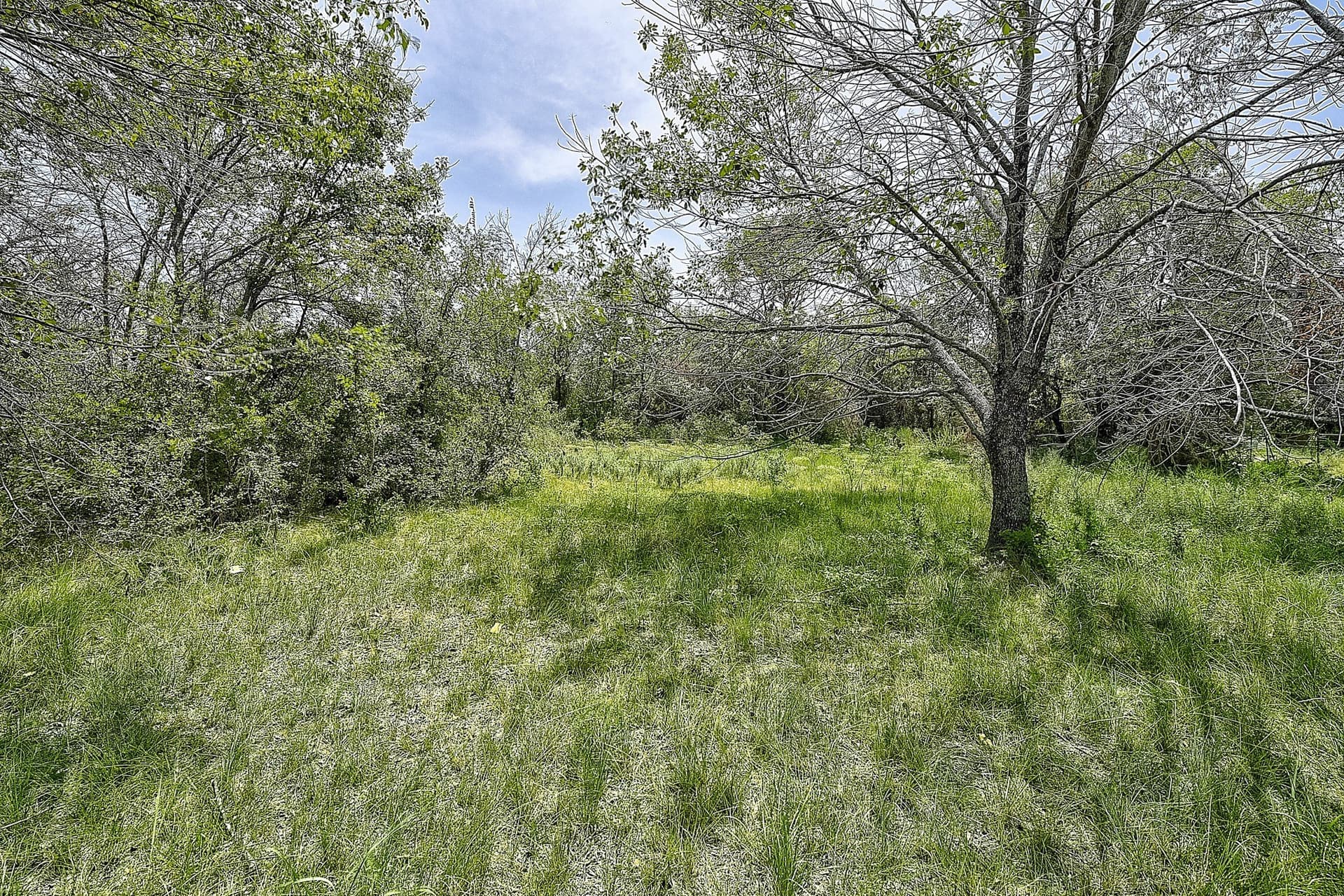 4.71 acres in Wise County - photo 14