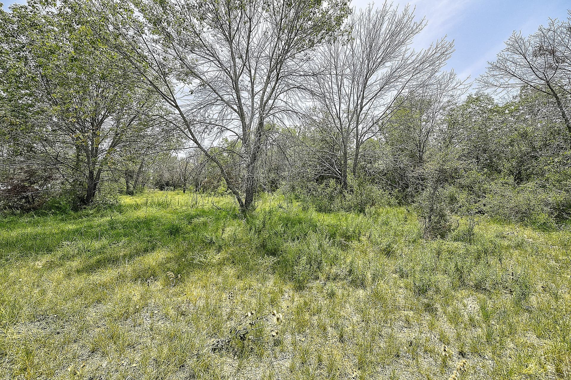 4.71 acres in Wise County - photo 16