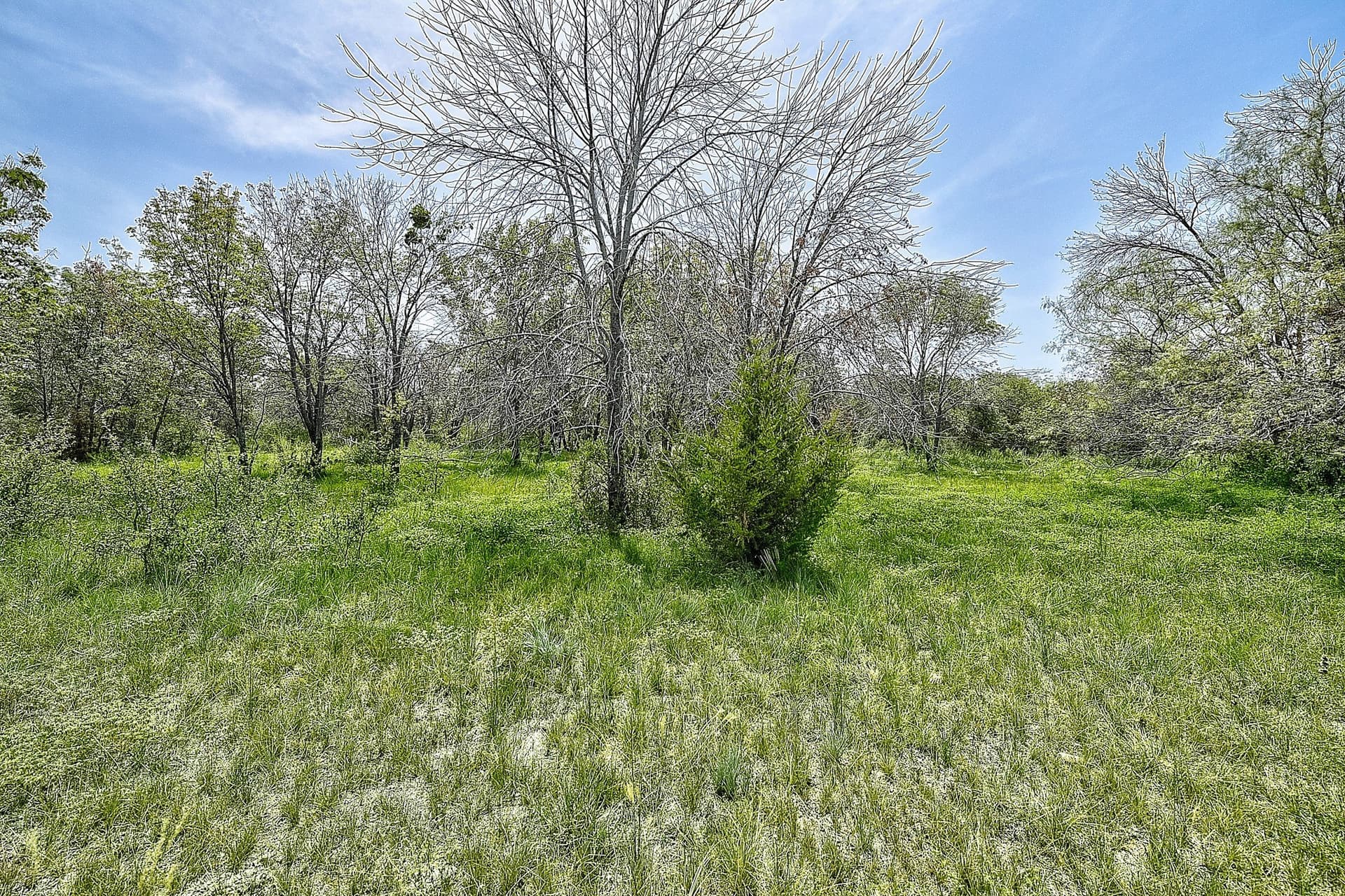 4.71 acres in Wise County - photo 13
