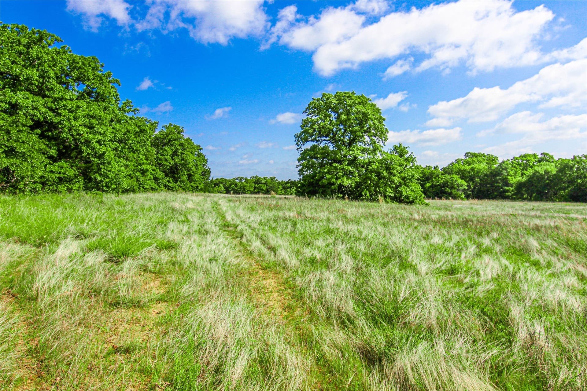 265.82 acres in Wise County - photo 19
