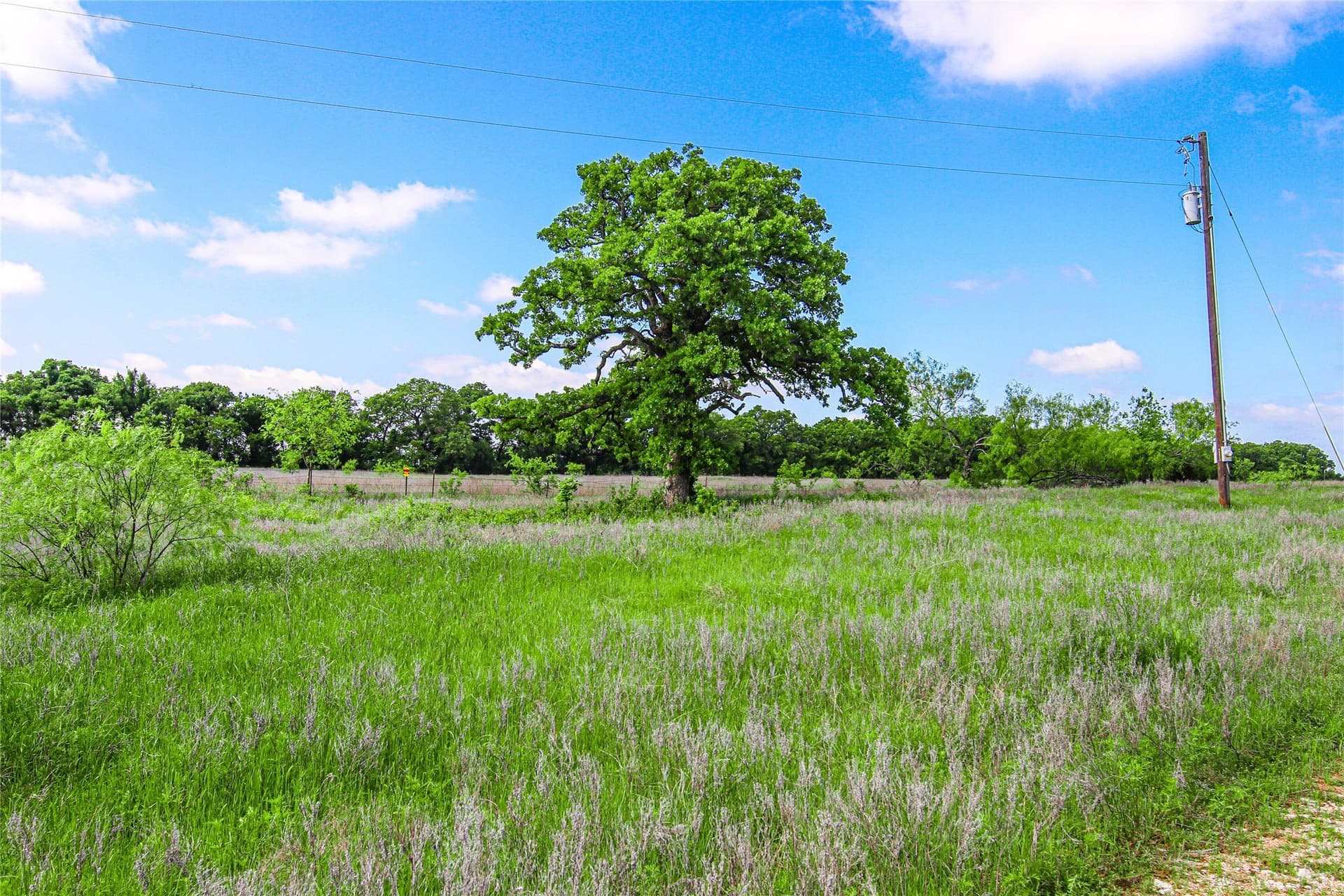 265.82 acres in Wise County - photo 13