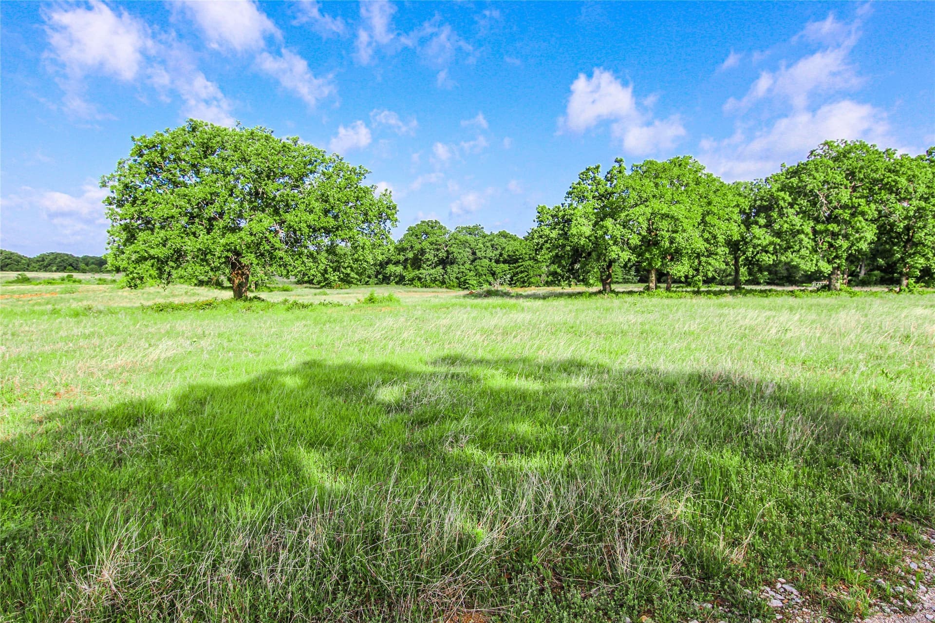 265.82 acres in Wise County - photo 24