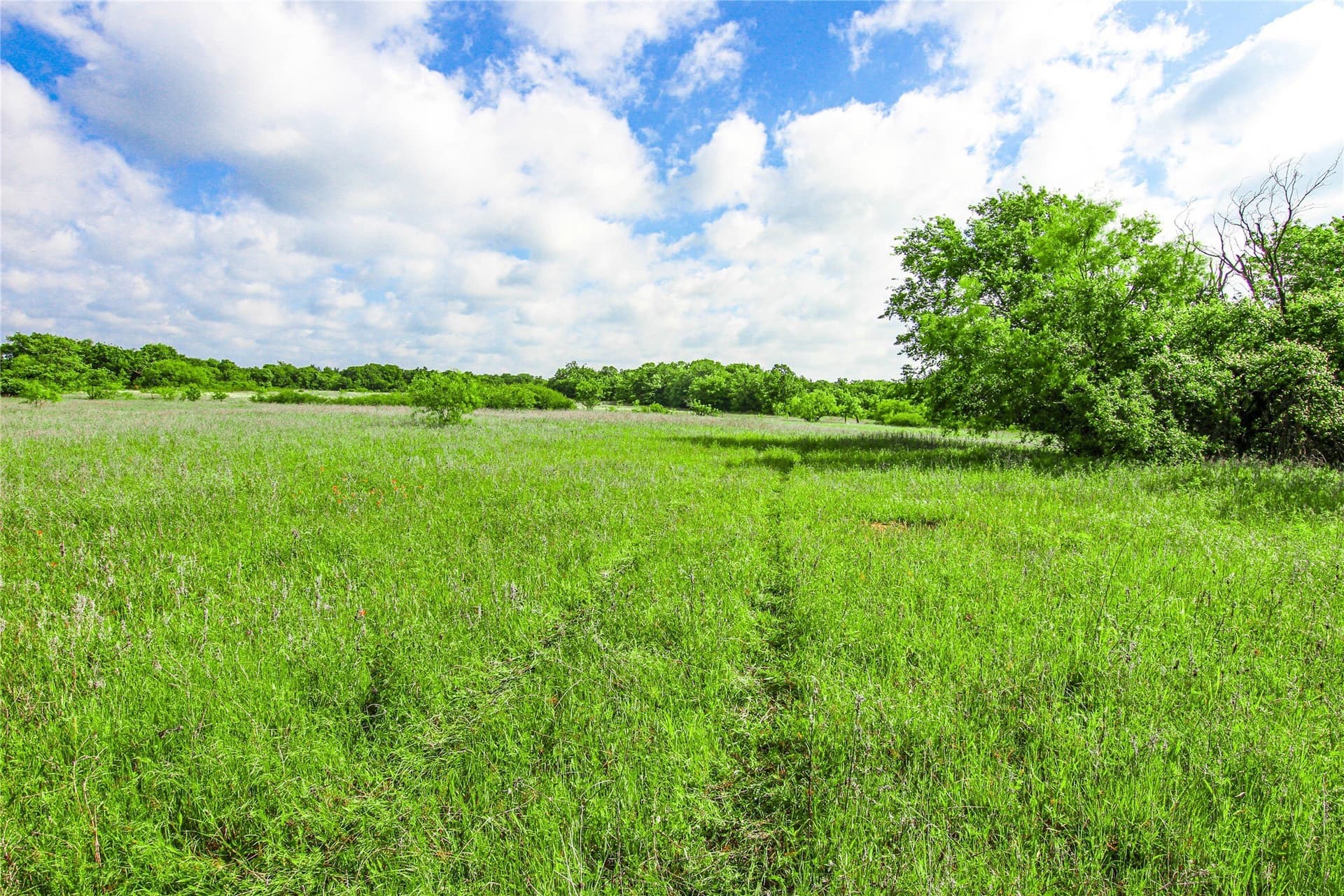 265.82 acres in Wise County - photo 25