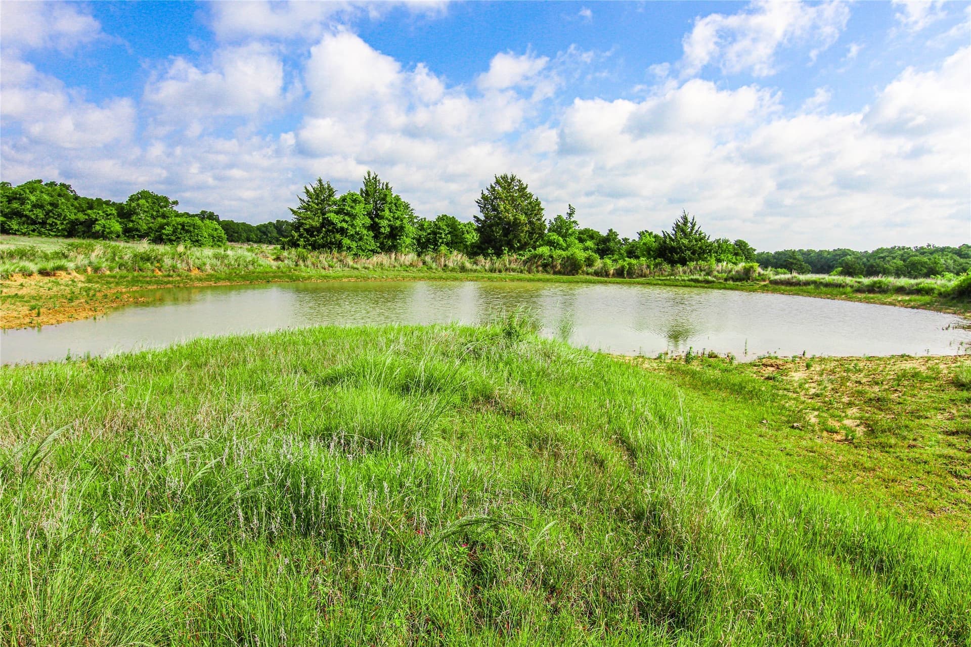 265.82 acres in Wise County - photo 23