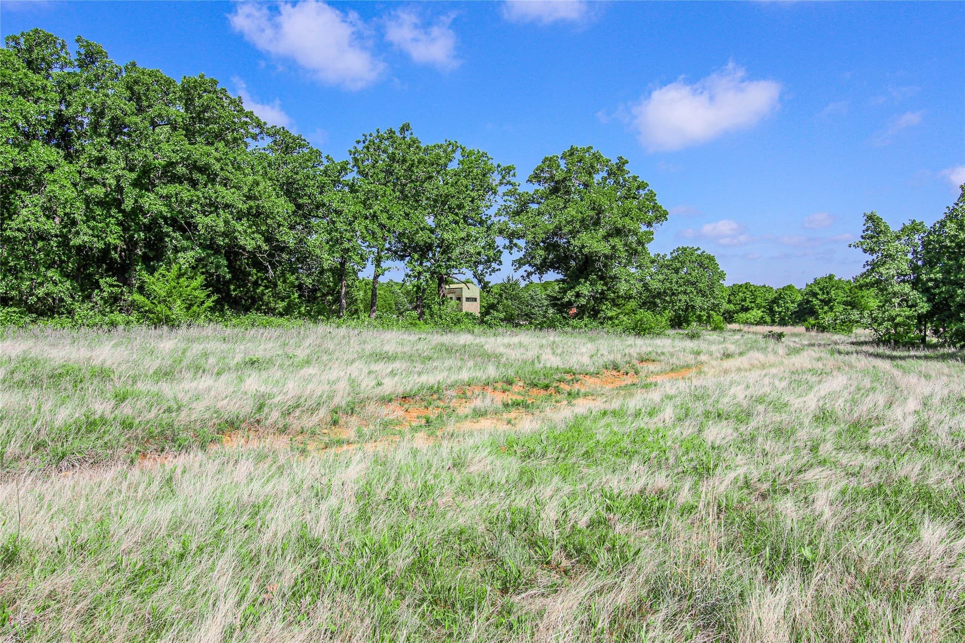 265.82 acres in Wise County - photo 18