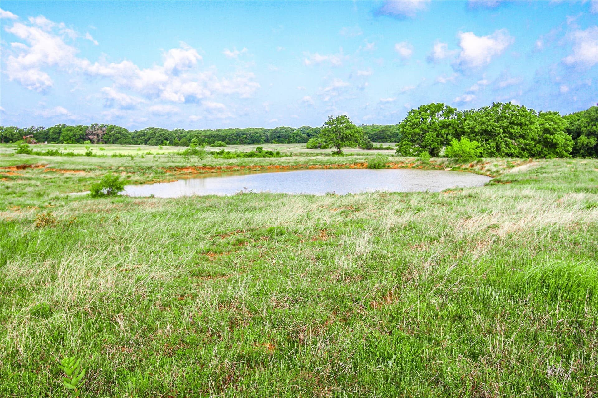 265.82 acres in Wise County - photo 7