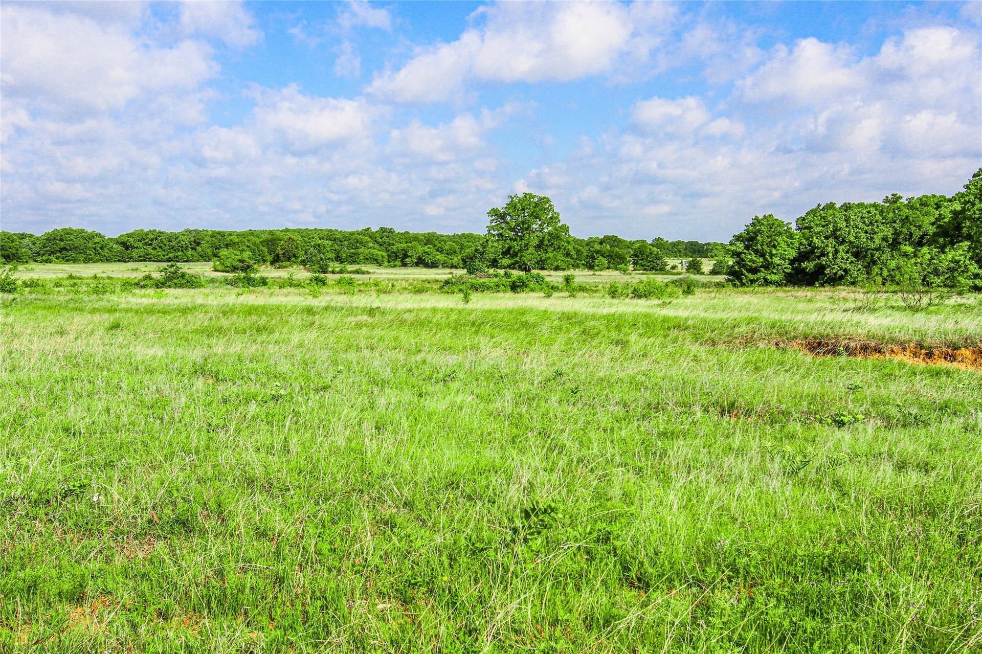 265.82 acres in Wise County - photo 8