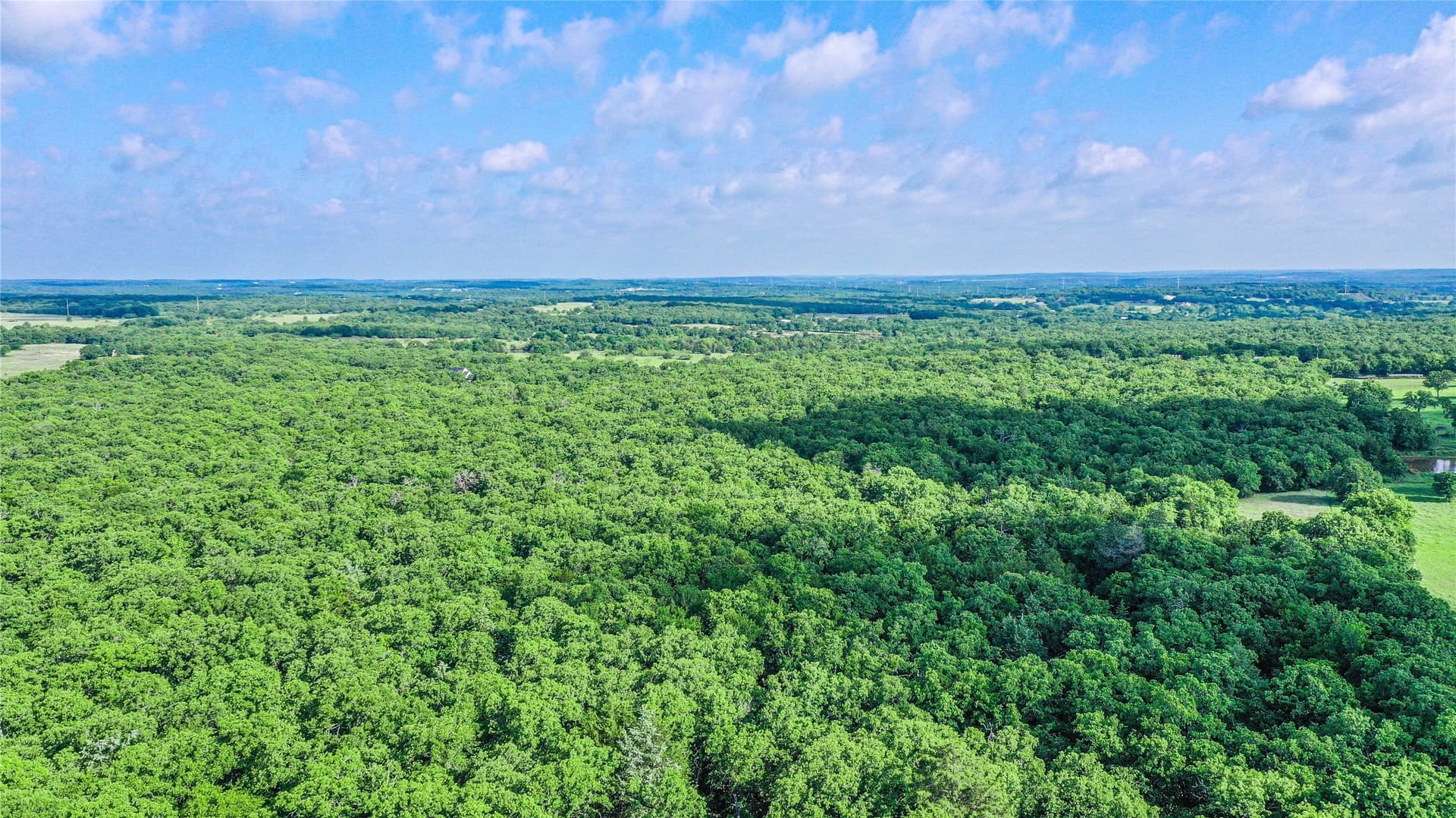 265.82 acres in Wise County - photo 30