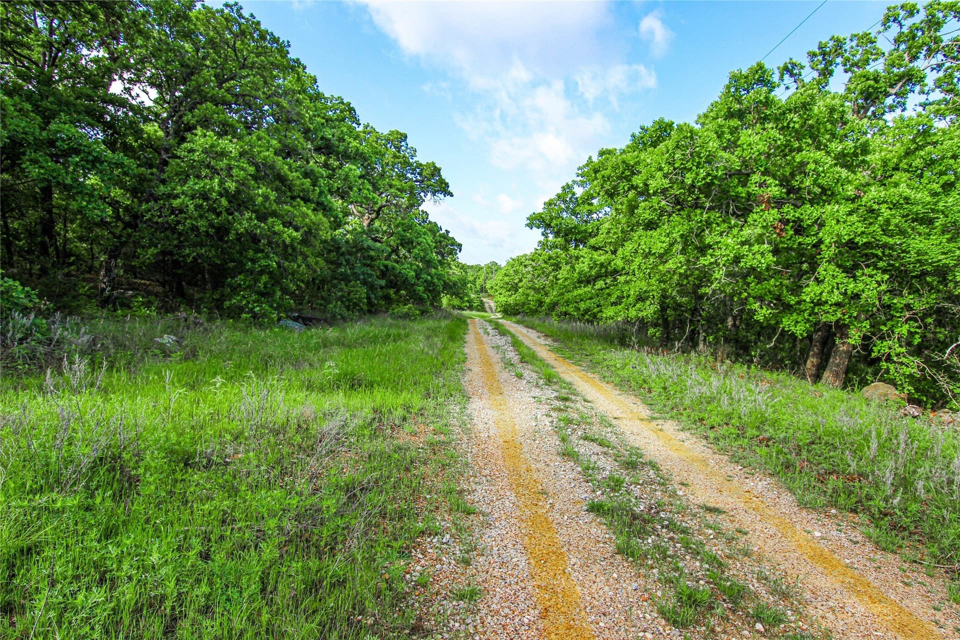 265.82 acres in Wise County - photo 33