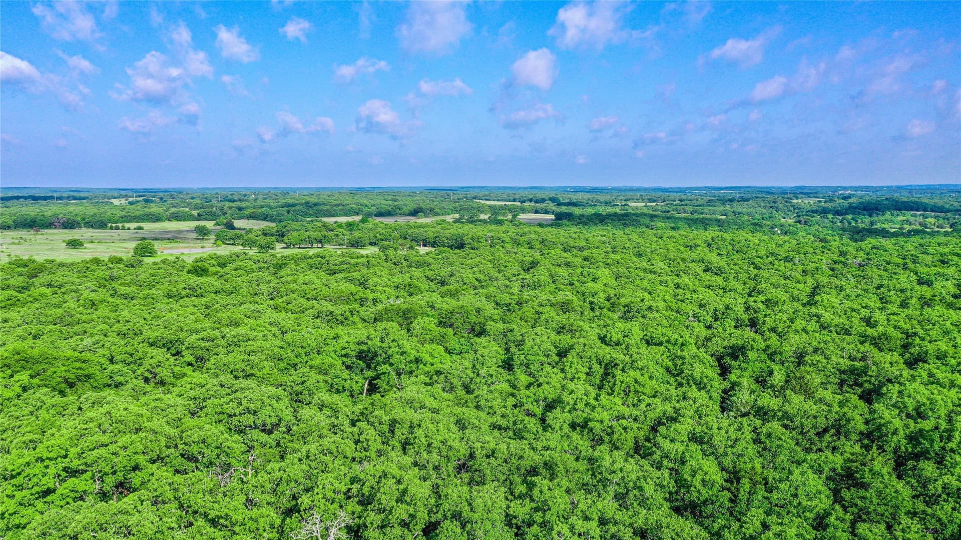 265.82 acres in Wise County gallery image 2