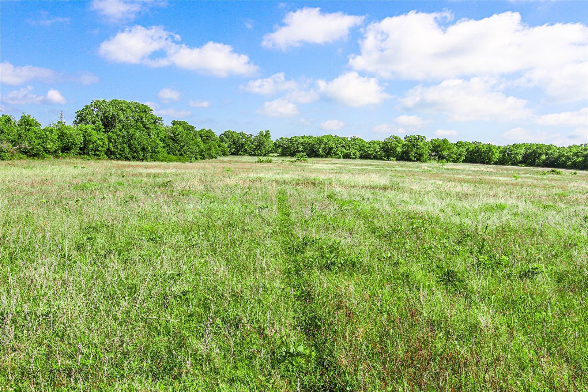265.82 acres in Wise County - photo 20