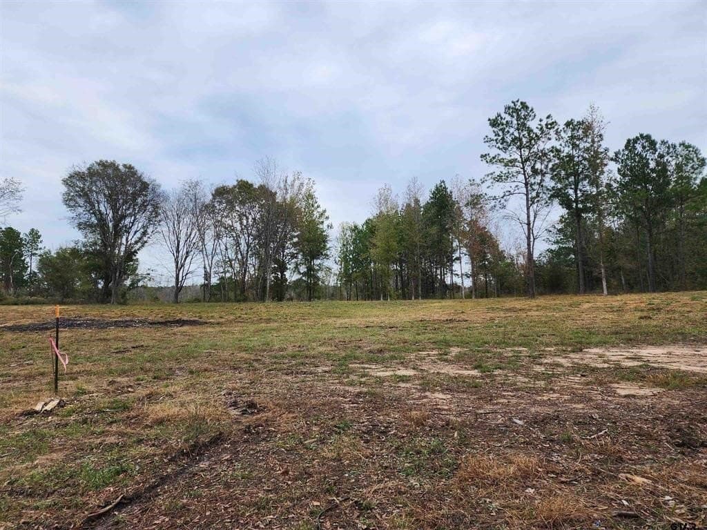 2.87 acres in Smith County - photo 11