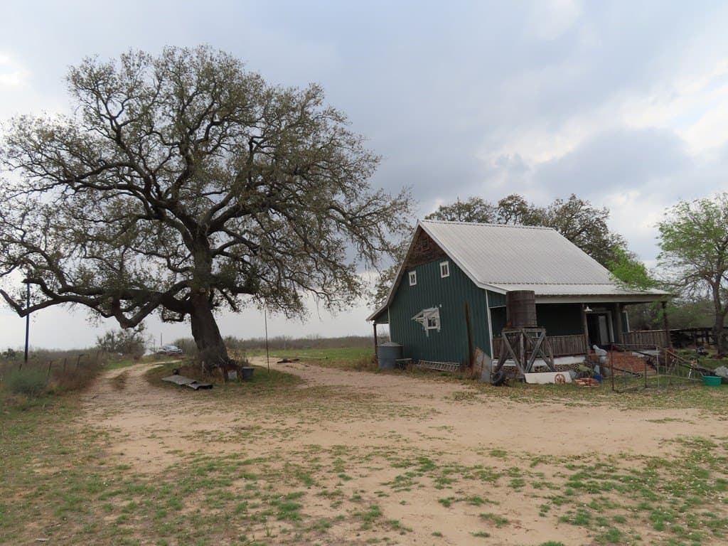 16.89 acres in Atascosa County - photo 6
