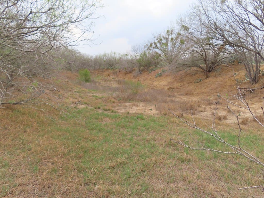 16.89 acres in Atascosa County - photo 19
