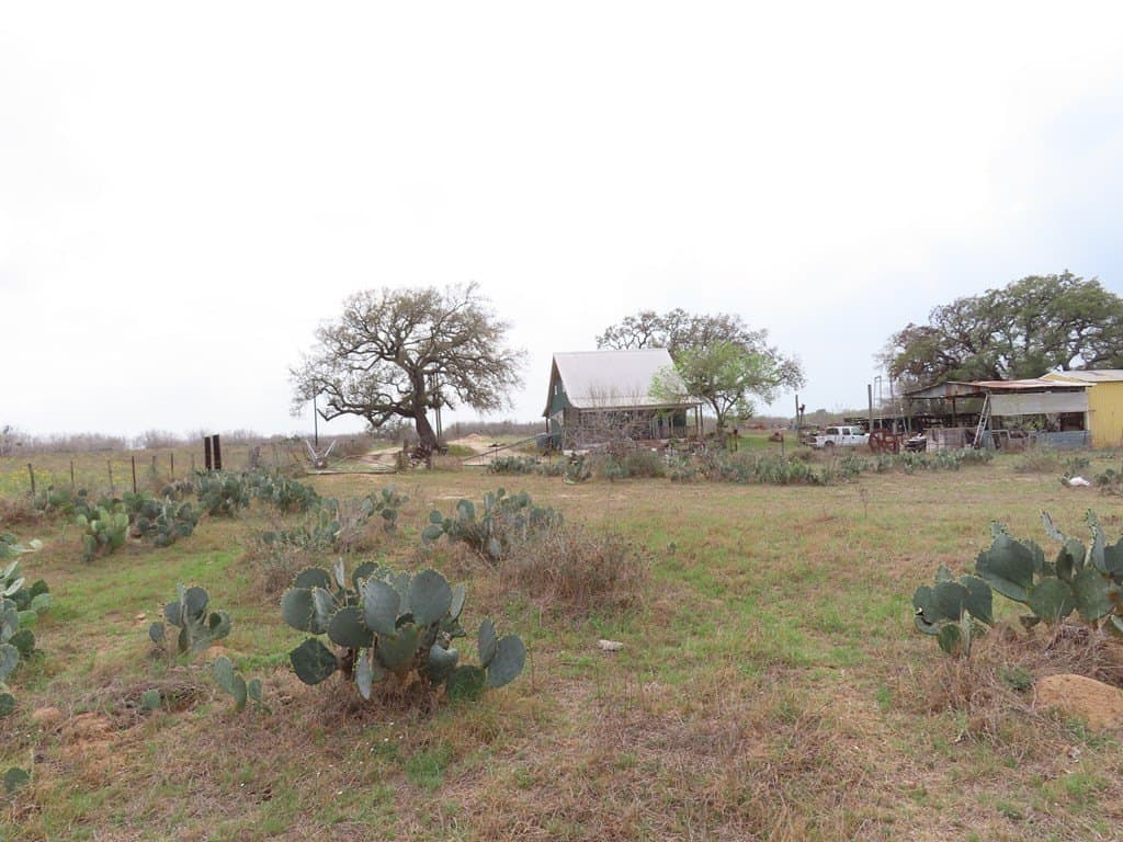 16.89 acres in Atascosa County - photo 18