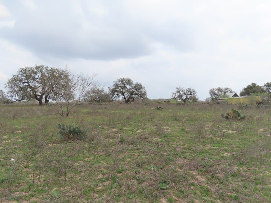 16.89 acres in Atascosa County - photo 14