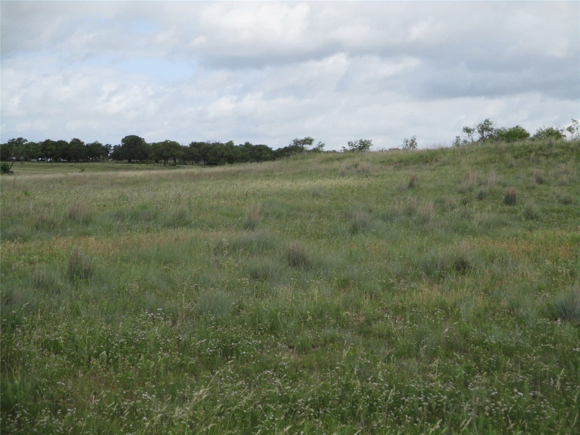 13 acres in Jack County - photo 3