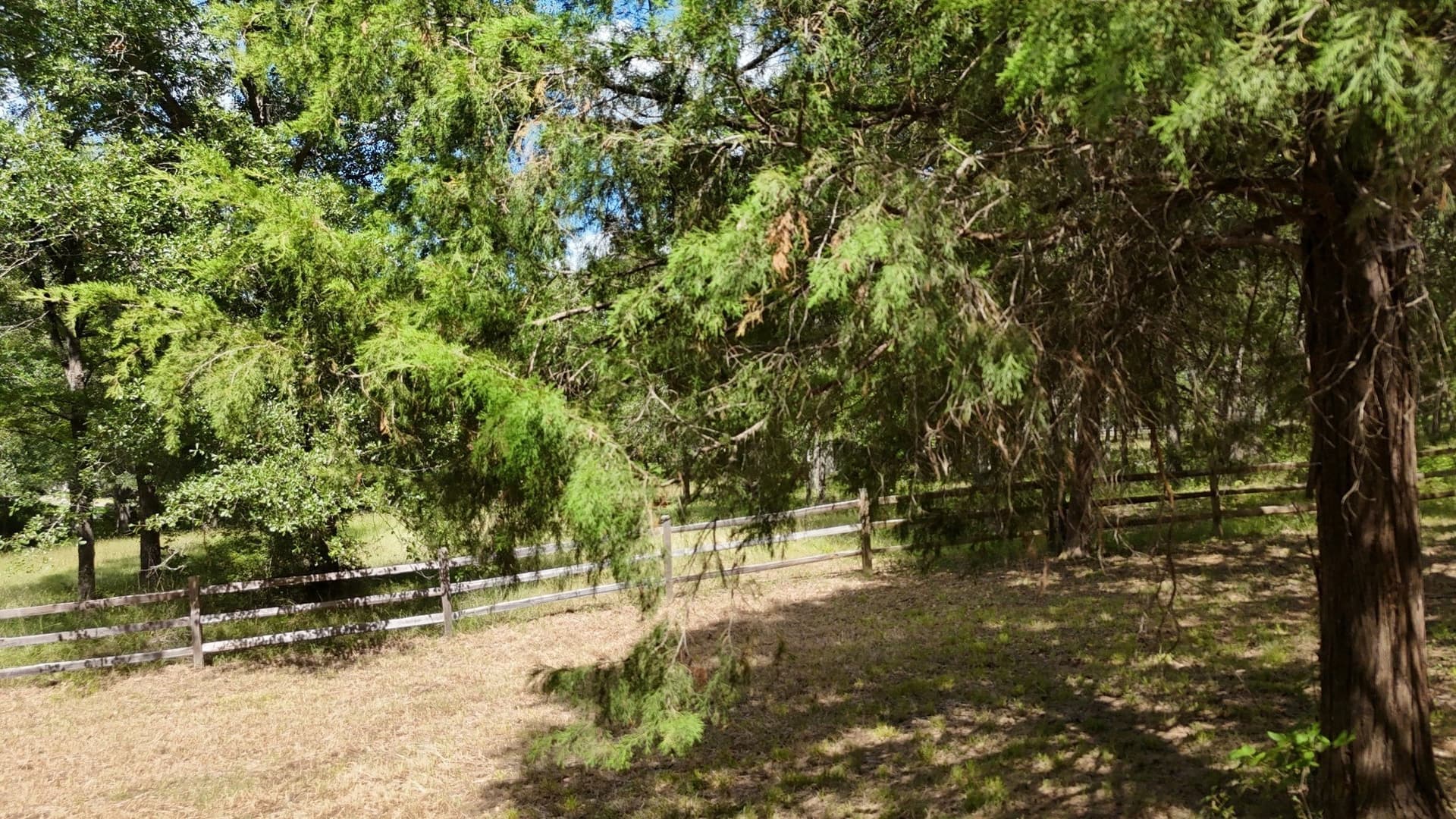 2.34 acres in Freestone County - photo 17