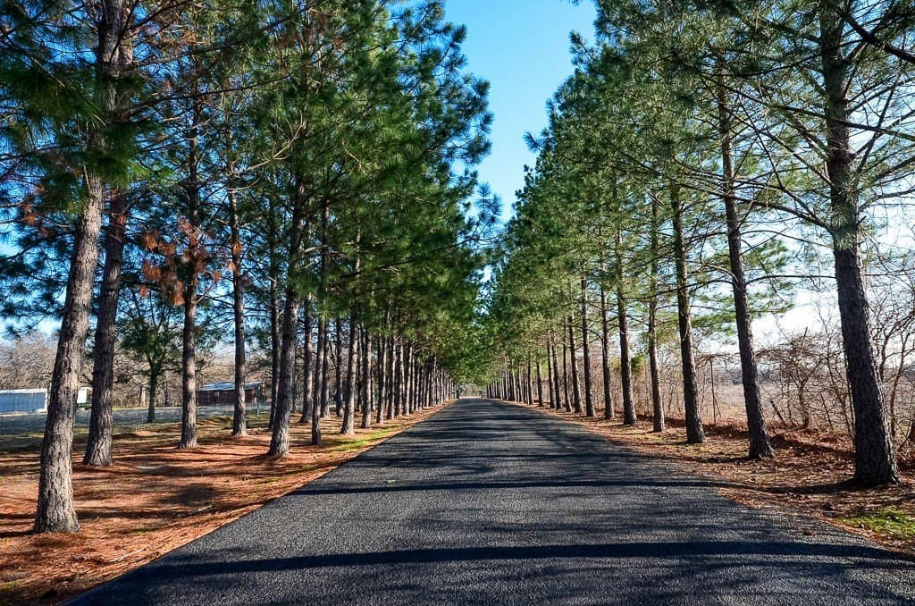2.34 acres in Freestone County - photo 31