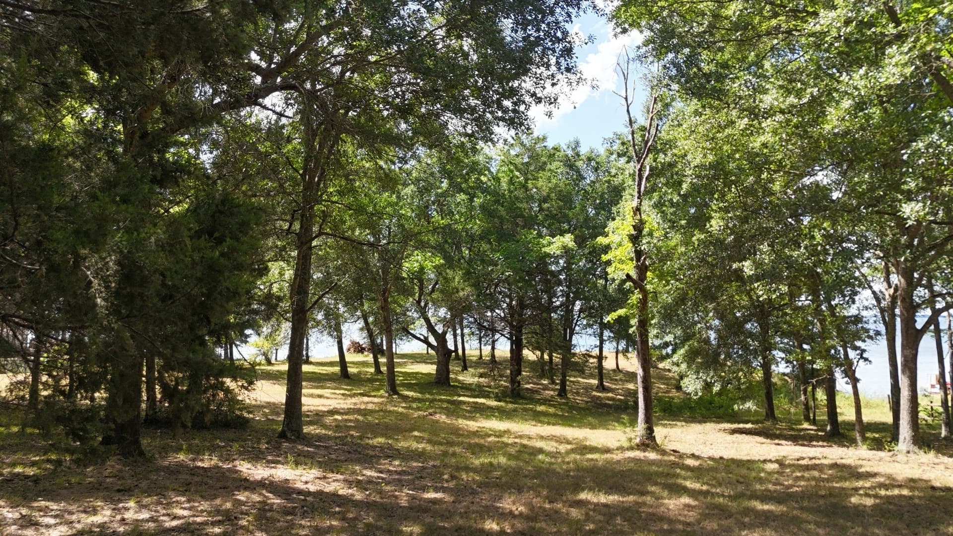 2.34 acres in Freestone County - photo 22