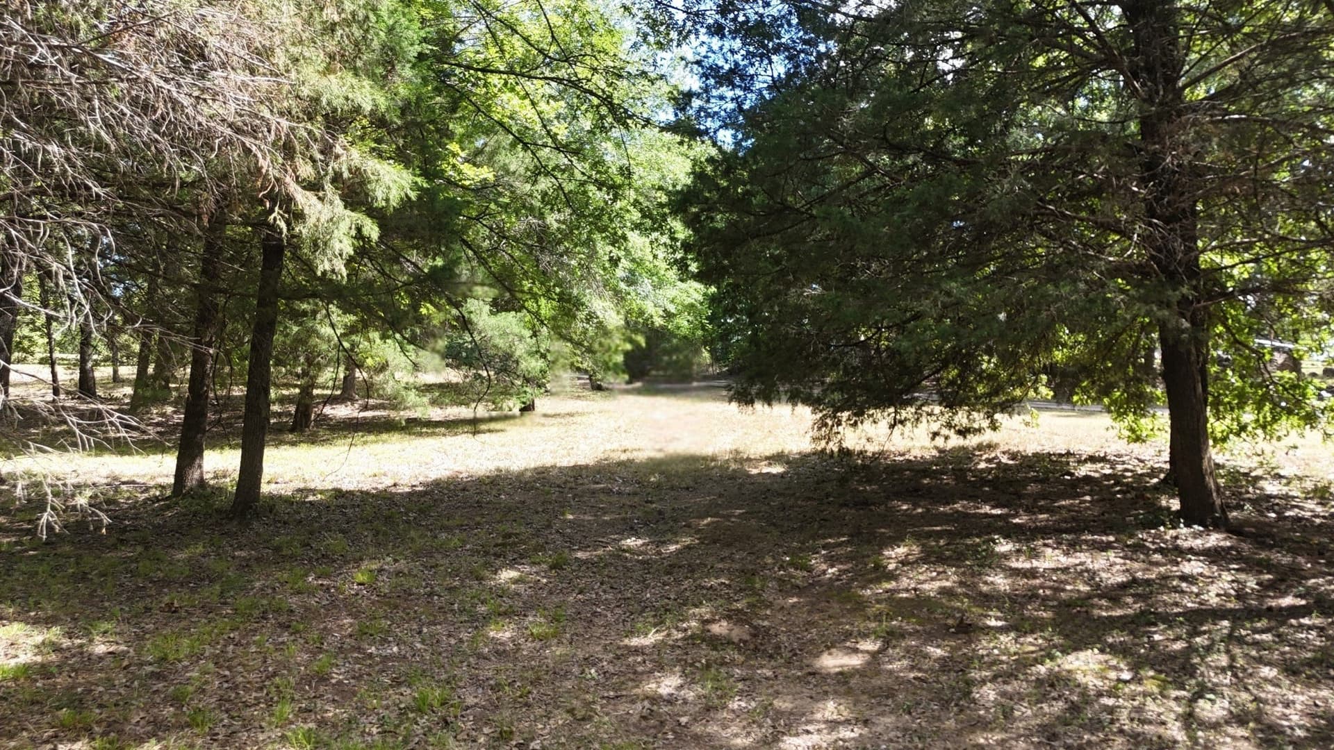 2.34 acres in Freestone County - photo 24