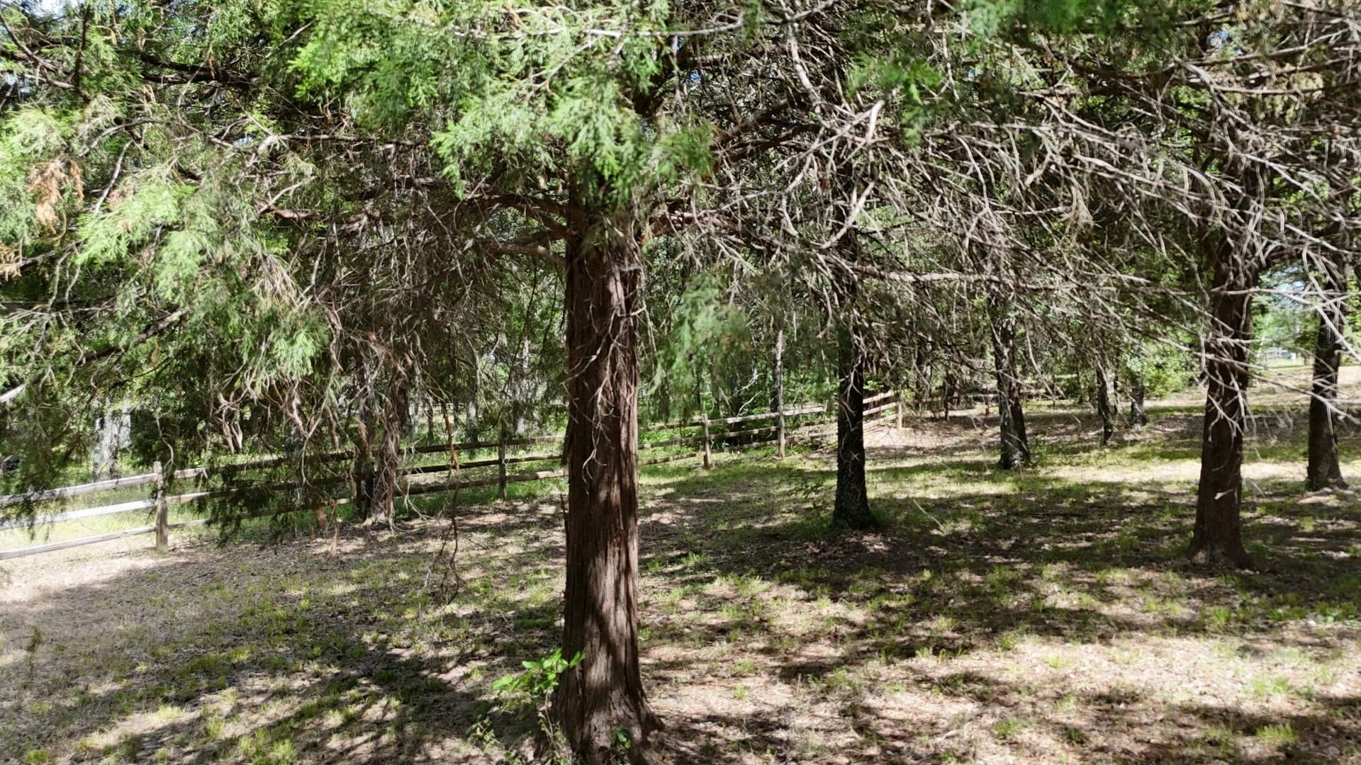 2.34 acres in Freestone County - photo 19