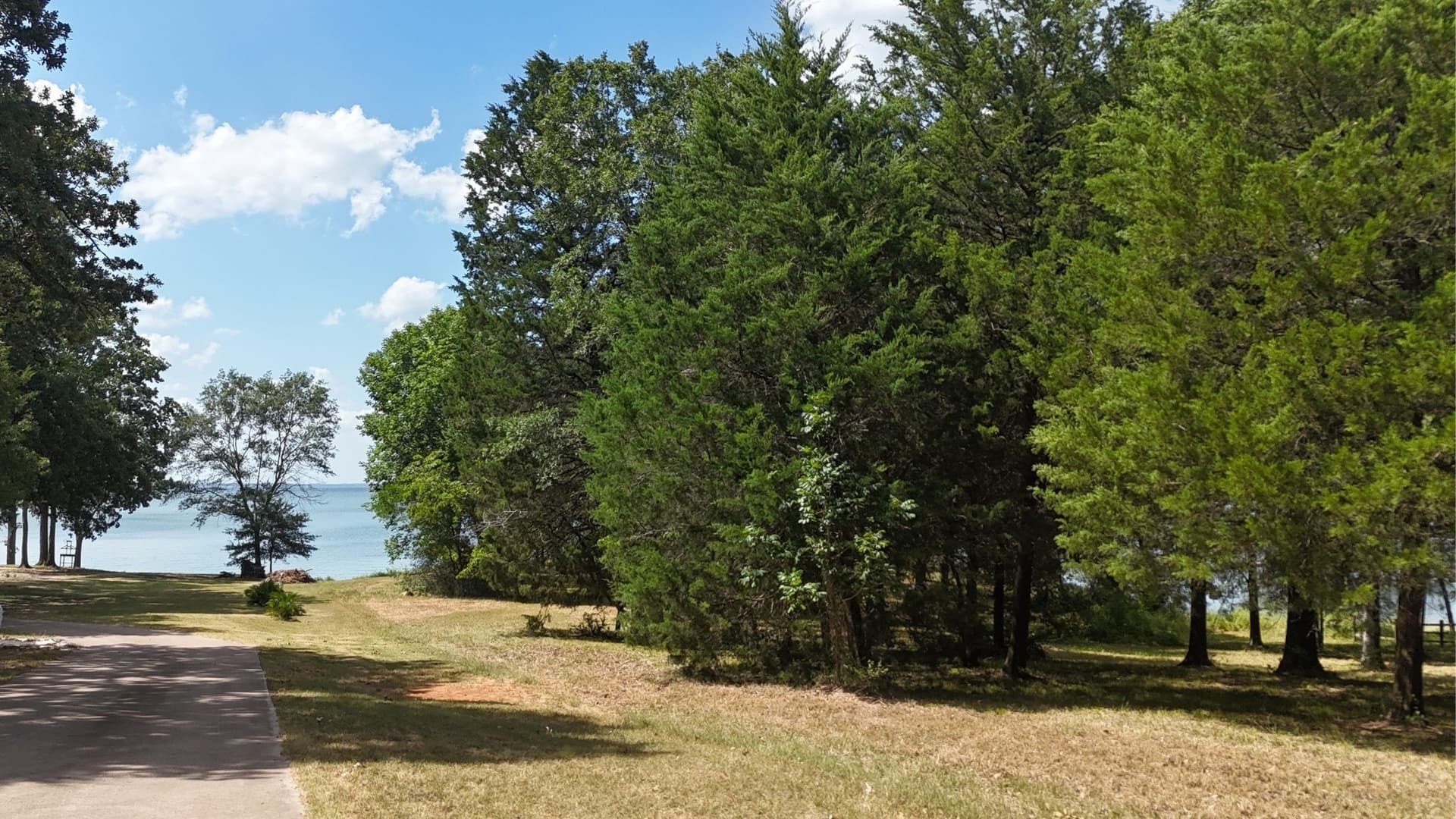 2.34 acres in Freestone County gallery image 3