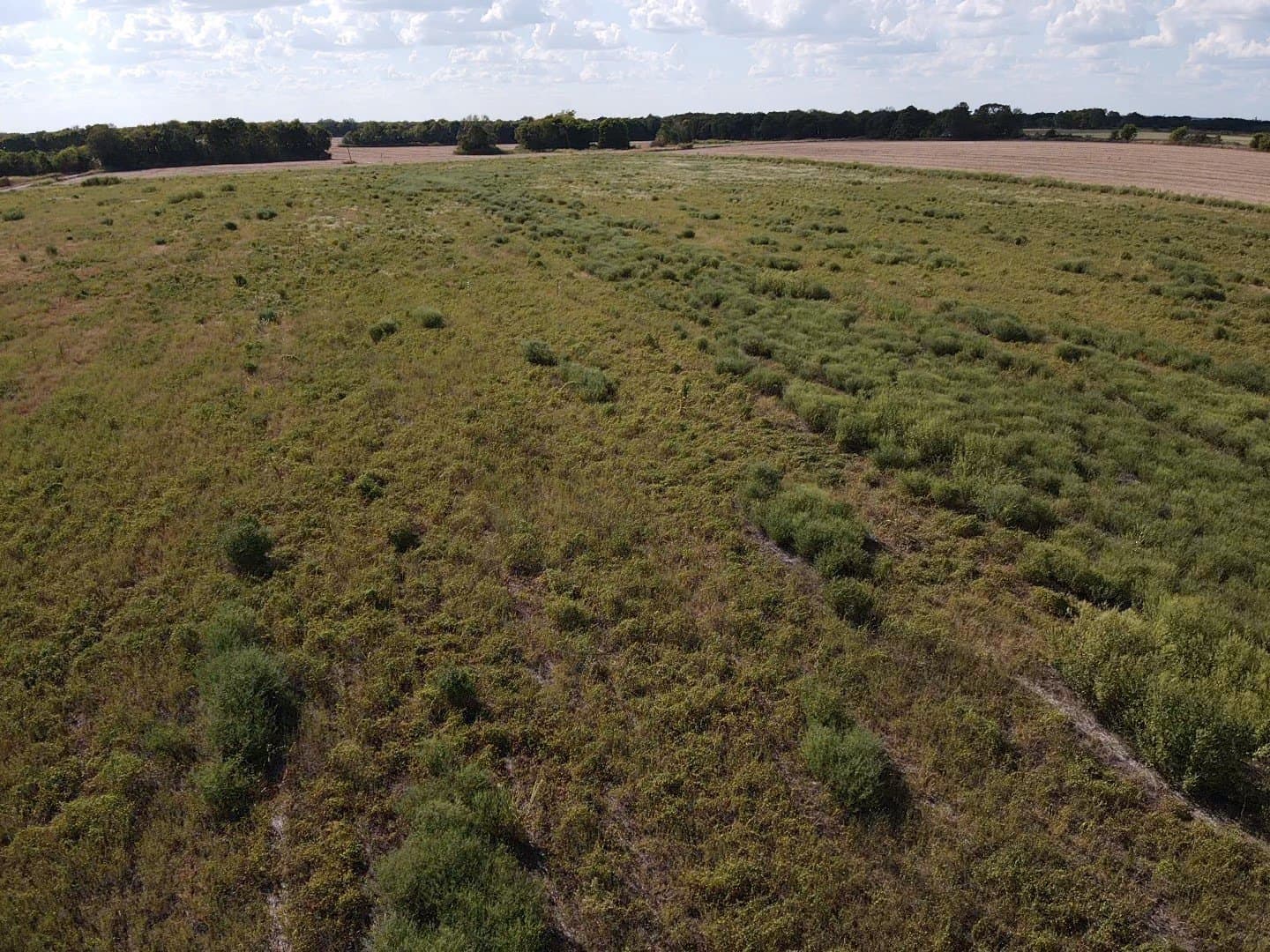 10.01 acres in Red River (TX) County - photo 5