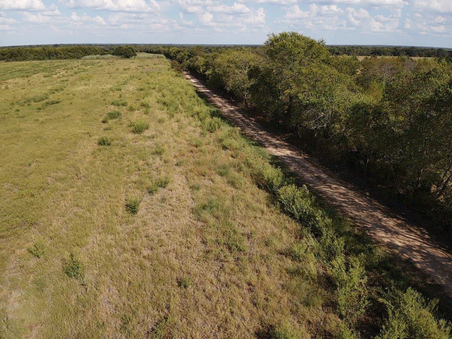 10.01 acres in Red River (TX) County - photo 7