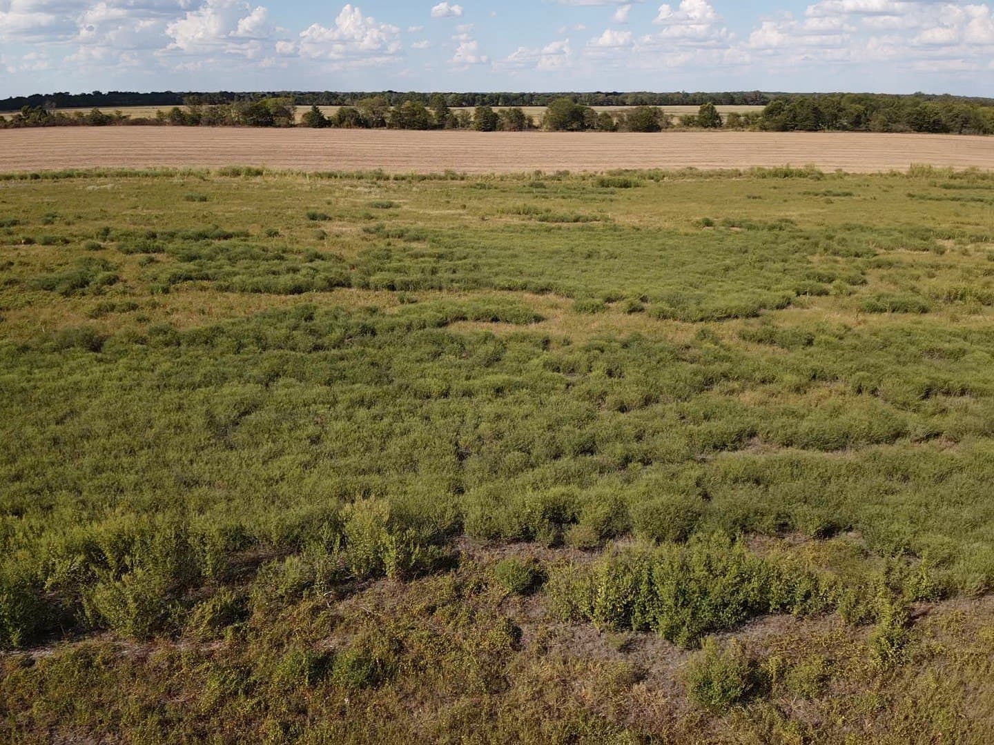 10.01 acres in Red River (TX) County - photo 6