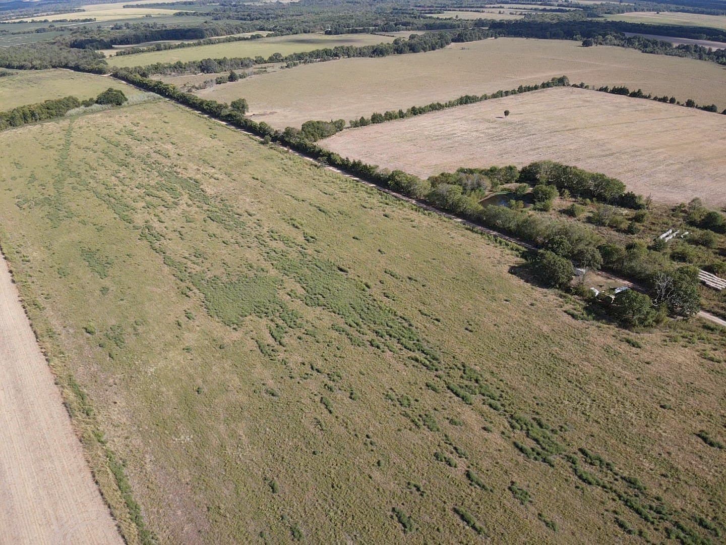 10.01 acres in Red River (TX) County - photo 4