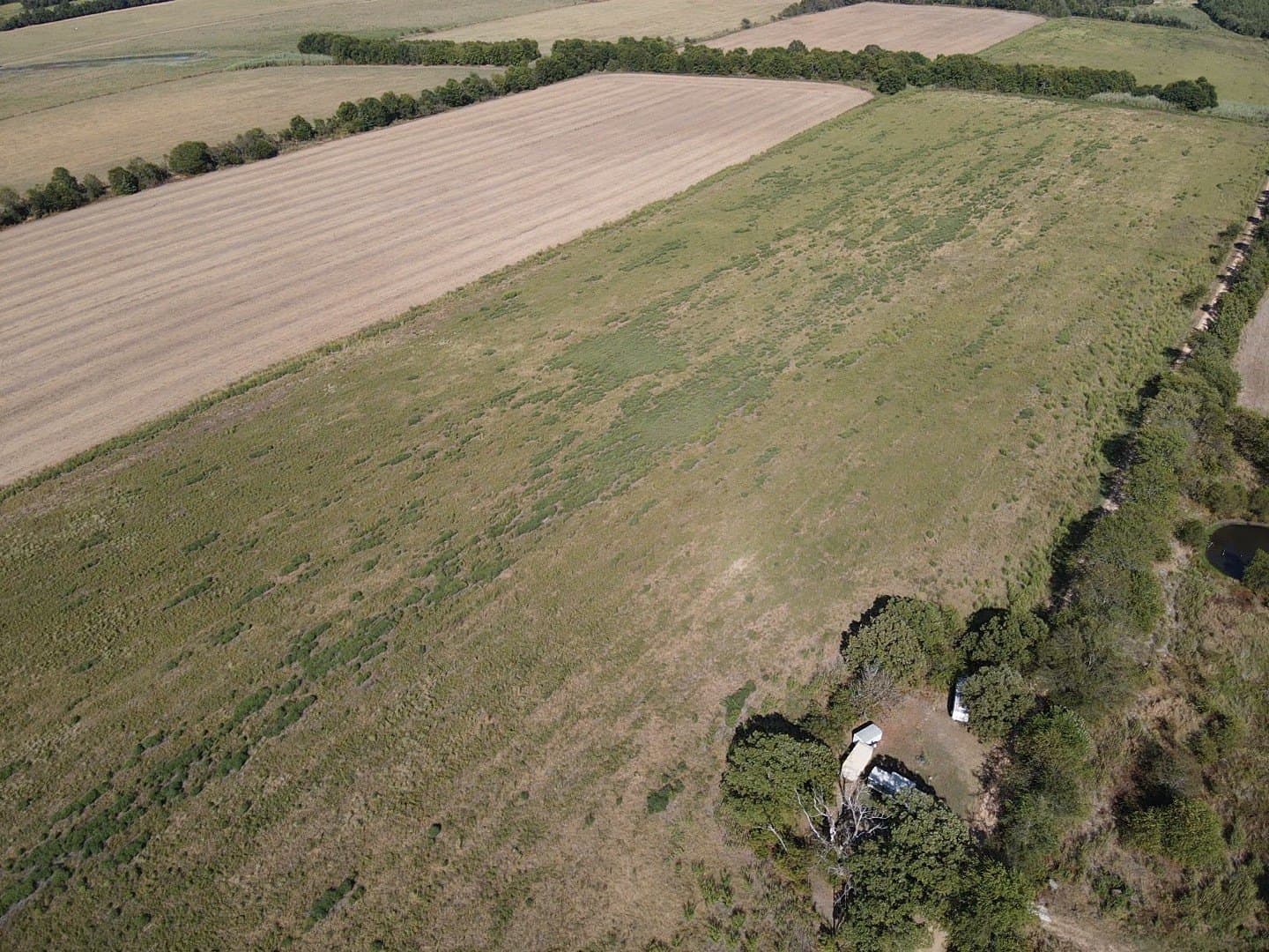 10.01 acres in Red River (TX) County - photo 2