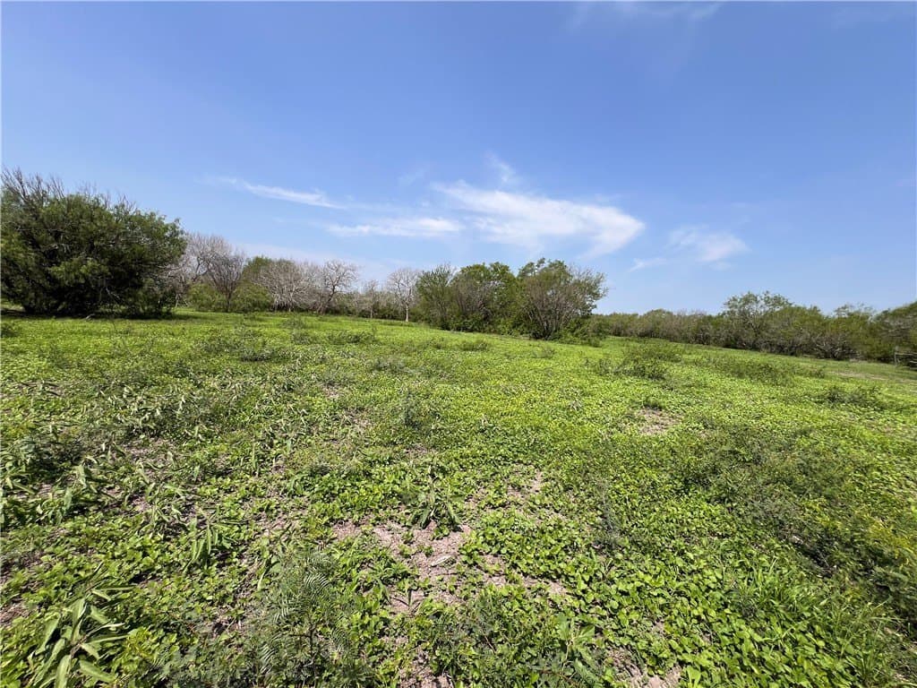 39.35 acres in Nueces County - photo 19